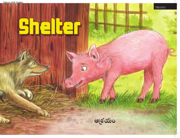 Shelter